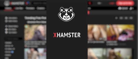 m xhamester com|The men behind xHamster .